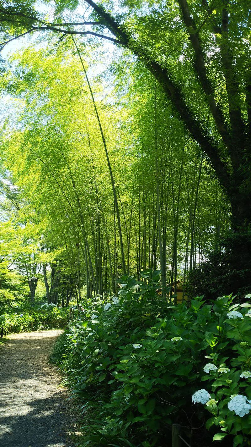 東京　ひとりになれる場所　府中市郷土の森博物館