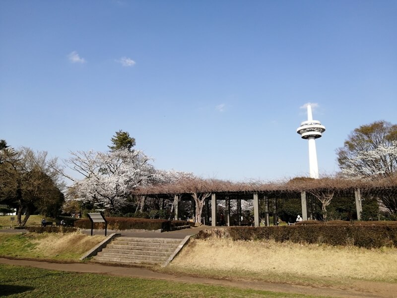 埼玉　ひとりになれる場所　所沢航空記念公園