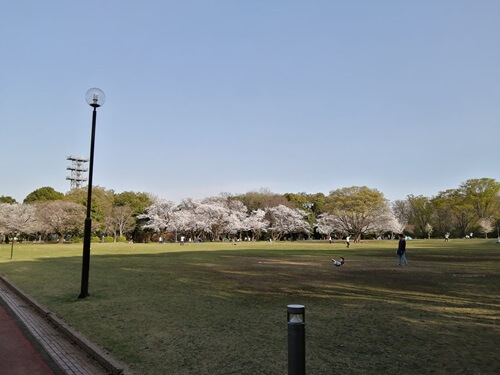 埼玉　ひとりになれる場所　所沢航空記念公園