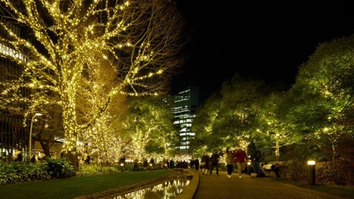 東京ミッドタウン　MIDTOWN ひとりイルミネーション　東京　2023　CHRISTMAS (ミッドタウン・クリスマス)202