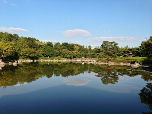 東京 ひとりになれる場所　昭和記念公園