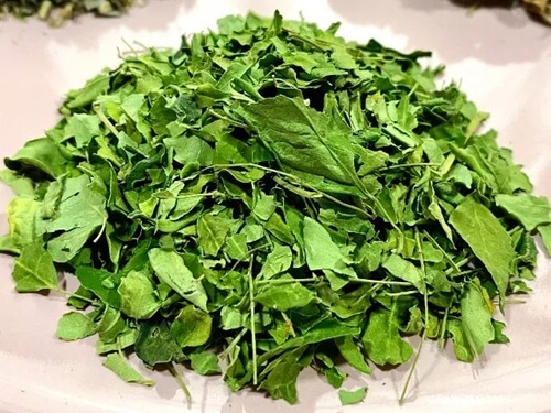 神奈川・横浜　ひとり温活　美肌よもぎ蒸し もう蒸されずにはいられない。