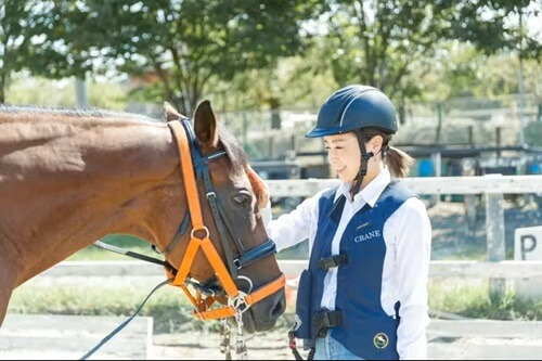 大阪　平日休み　行くところ　服部緑地乗馬センター