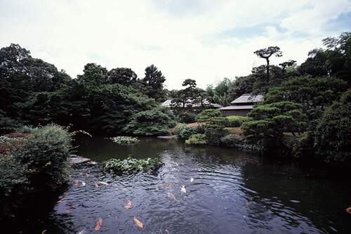 東京　ホテル　おひとりさまプラン　ホカンス　ホテルニューオータニ