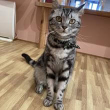 愚痴を聞いてくれる男性　話を聞いてくれる男性　はるいち