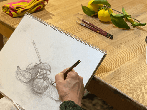 一人趣味 絵画 おうち 自宅 対面レッスン オンラインレッスン おとなのための「デッサンの時間@西荻」